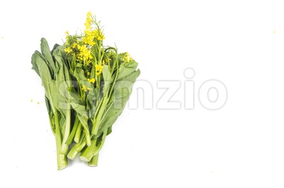 Bunch of floral choy sum green vegetable popular among the Chinese. Stock Photo