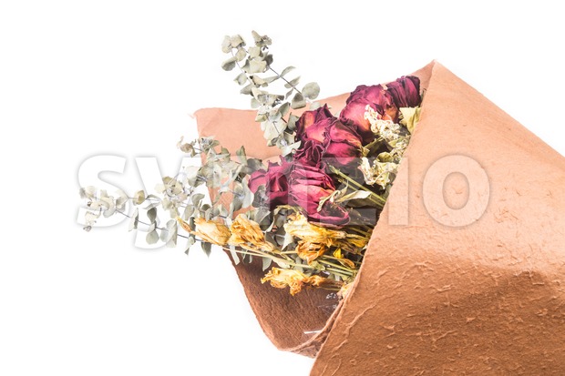 Bouquet of beautiful wrapped dried red roses and flowers. Stock Photo