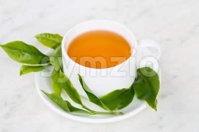 Brewed black tea rich with anti-oxidant. Freshly harvested tea leafs as props Stock Photo