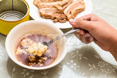 Hand scooping unhealthy pork with layers of fats from canned food Stock Photo