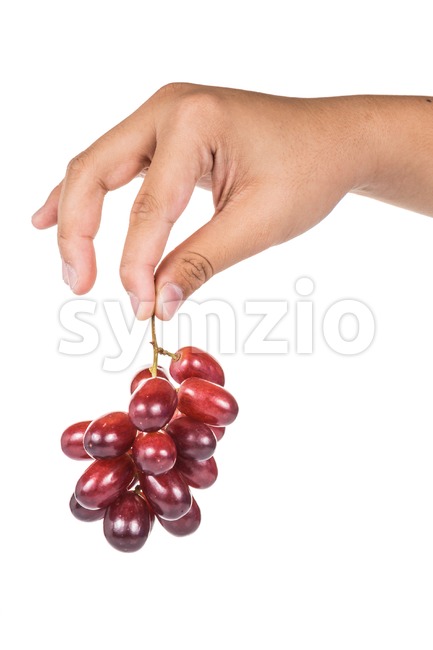 Fingers holding a bunch of sweet and juicy crimson red grapes Stock Photo