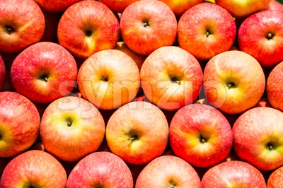 A pile of red juicy apple with selective focus on one piece at foreground Stock Photo