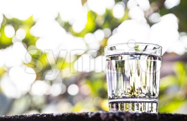 Refreshing water in transparent glass  against with greeneries background Stock Photo