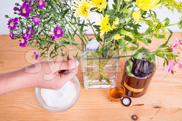 Add apple cider vinegar and sugar to keep flowers fresher Stock Photo