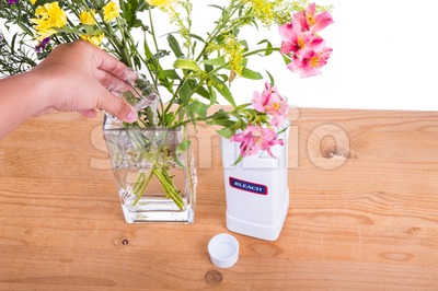 Add liquid bleach into vase with water to keep flowers fresher Stock Photo