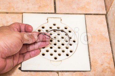 Hand inspecting bunch of hair trapped at bathroom drain outlet Stock Photo