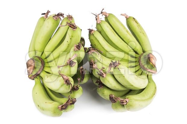 Two bunches of sweet organic green banana on white background Stock Photo
