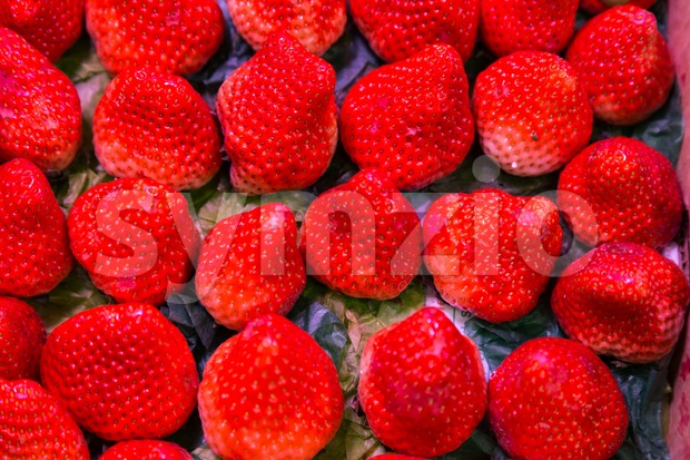 Fresh organic sweet and juicy strawberries arranged neatly Stock Photo