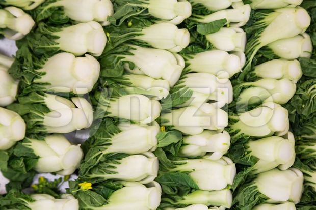 Bok choy leafy vegetable Stock Photo