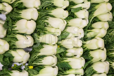 Bok choy leafy vegetable Stock Photo