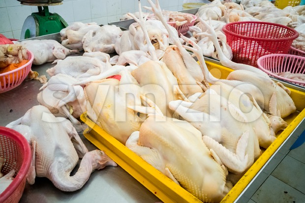 Vendor selling freshly slaughtered whole chicken in market stall Stock Photo
