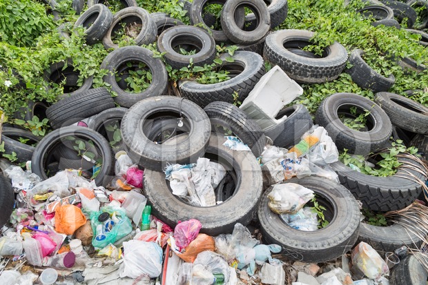 Used tyre at garbage dump collect rain water breed mosquito Stock Photo