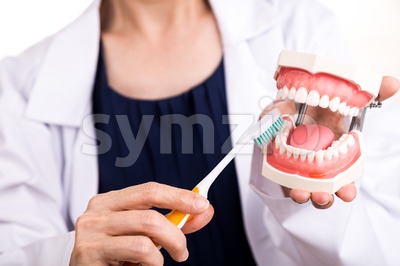Series of dentist showing correct method of brushing teeth Stock Photo