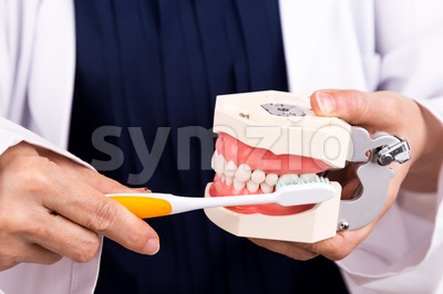 Series of dentist showing correct method of brushing teeth Stock Photo