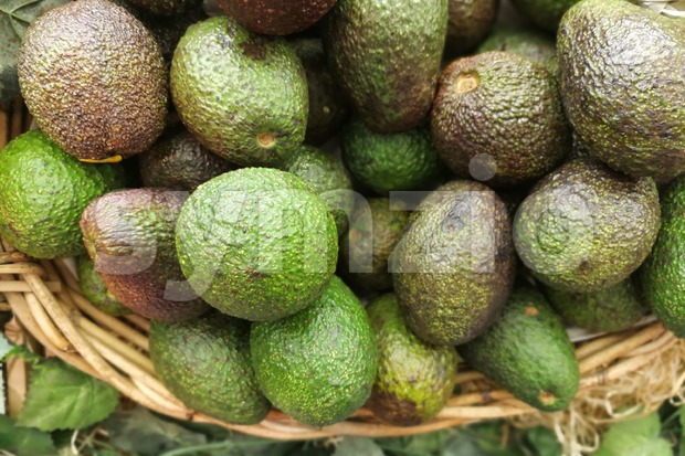 Whole fresh avocado on basket in supermarket Stock Photo