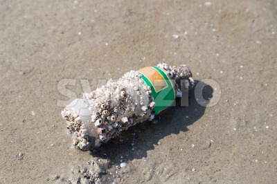 Bottle with corals washed up the sea shore beach sand Stock Photo