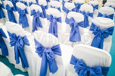 Rows of decorated banquet chairs Stock Photo