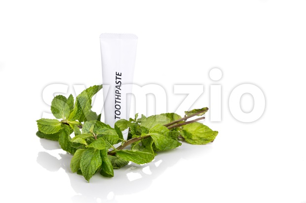 Soft tapered bristle toothbrush with toothpaste and mint leafs Stock Photo