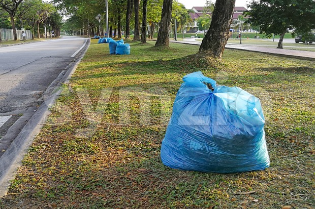 Bags of garden refuse packed for recycle into compost Stock Photo