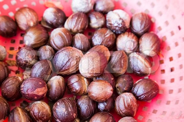 Close-up of fresh nutmeg fruit mace seed Stock Photo