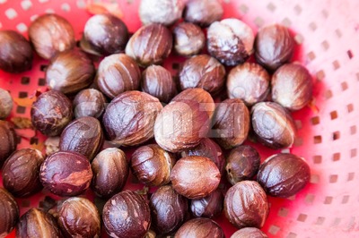 Close-up of fresh nutmeg fruit mace seed Stock Photo