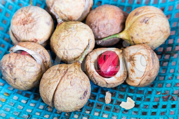 Close-up of fresh nutmeg fruit with mace seed Stock Photo