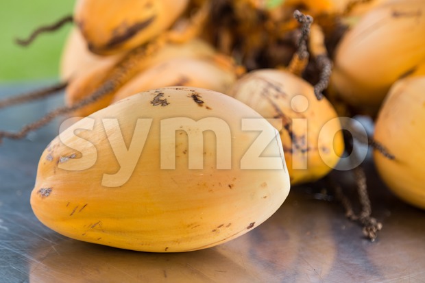 Bunch of fresh yellow young coconut for refreshing drinks Stock Photo