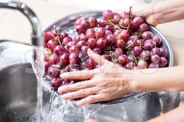 Person's hand washing grapes with running water in household sink Stock Photo
