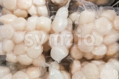Frozen scallop meat in refrigerator to preserve its freshness Stock Photo