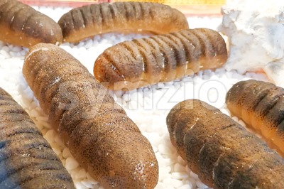 Dried sea cucumber, a delicacy in Chinese cuisine Stock Photo