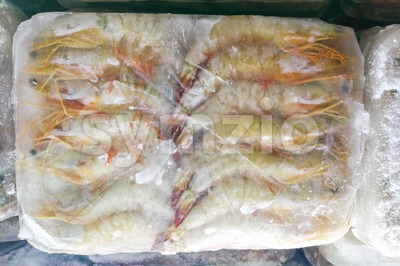 Frozen prawns shrimps in ice bag to preserve freshness Stock Photo