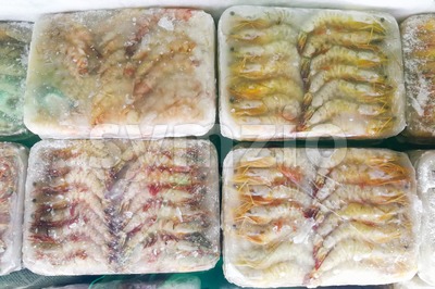 Frozen prawns shrimps in ice bag to preserve freshness Stock Photo