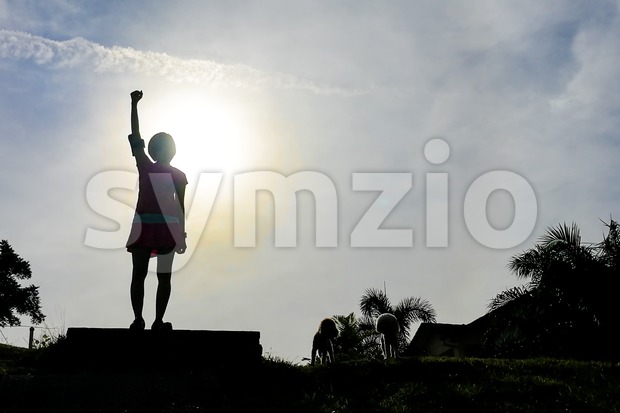 Silhouette woman hiker with dogs raises hands on hill peak Stock Photo