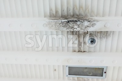 Unhygienic and ugly moldy plaster ceiling due to leakage dampness Stock Photo