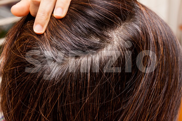 Close-up on gray hair roots of woman against dark hair Stock Photo
