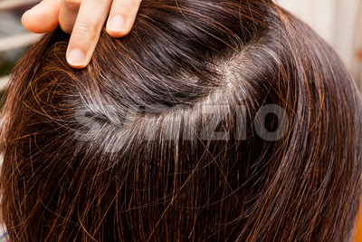 Close-up on gray hair roots of woman against dark hair Stock Photo
