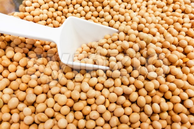 Heap of soya bean with ladle Stock Photo