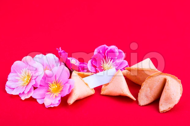 Fortune cookies with plum blossom flowers on red background Stock Photo