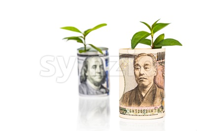 Analogy of Japanese Yen conceptual growth ahead of US Dollar Stock Photo