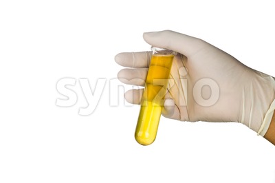 Hand in latex gloves holding test tubes with yellow liquid. Stock Photo