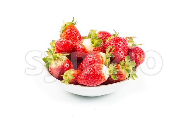 Plateful of freshly harvested organic strawberries with white background Stock Photo