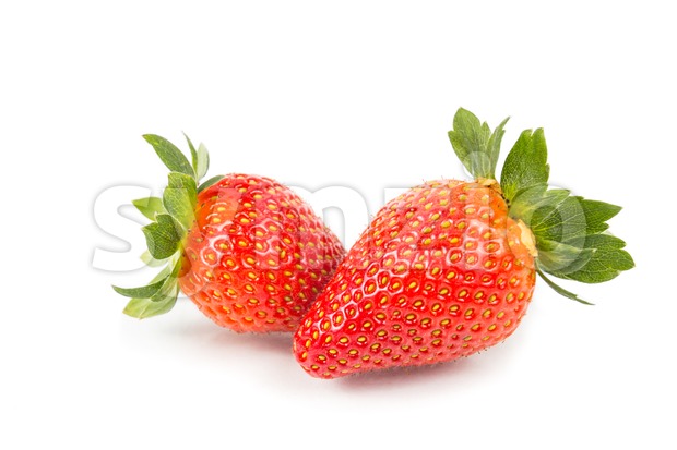 Closeup of two fresh juicy organic strawberries with white background Stock Photo